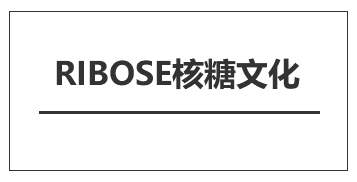 【公告】RIBOSE核糖文化官方網站、官方淘寶店正式開通！